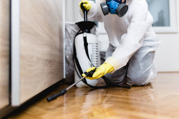Best Ant Control Services  in Grand Terrace, CA