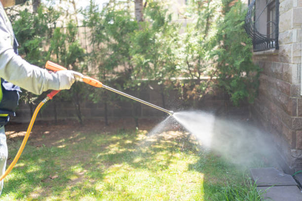 Best Termite Control Services  in Grand Terrace, CA
